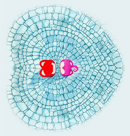 直到有一天 L 与 T 相遇了